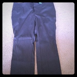 NWT Torrid Slacks